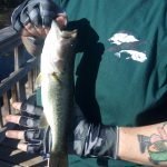 The Outdoors Quest Bass Fishing with LJ Ranch Outfitters