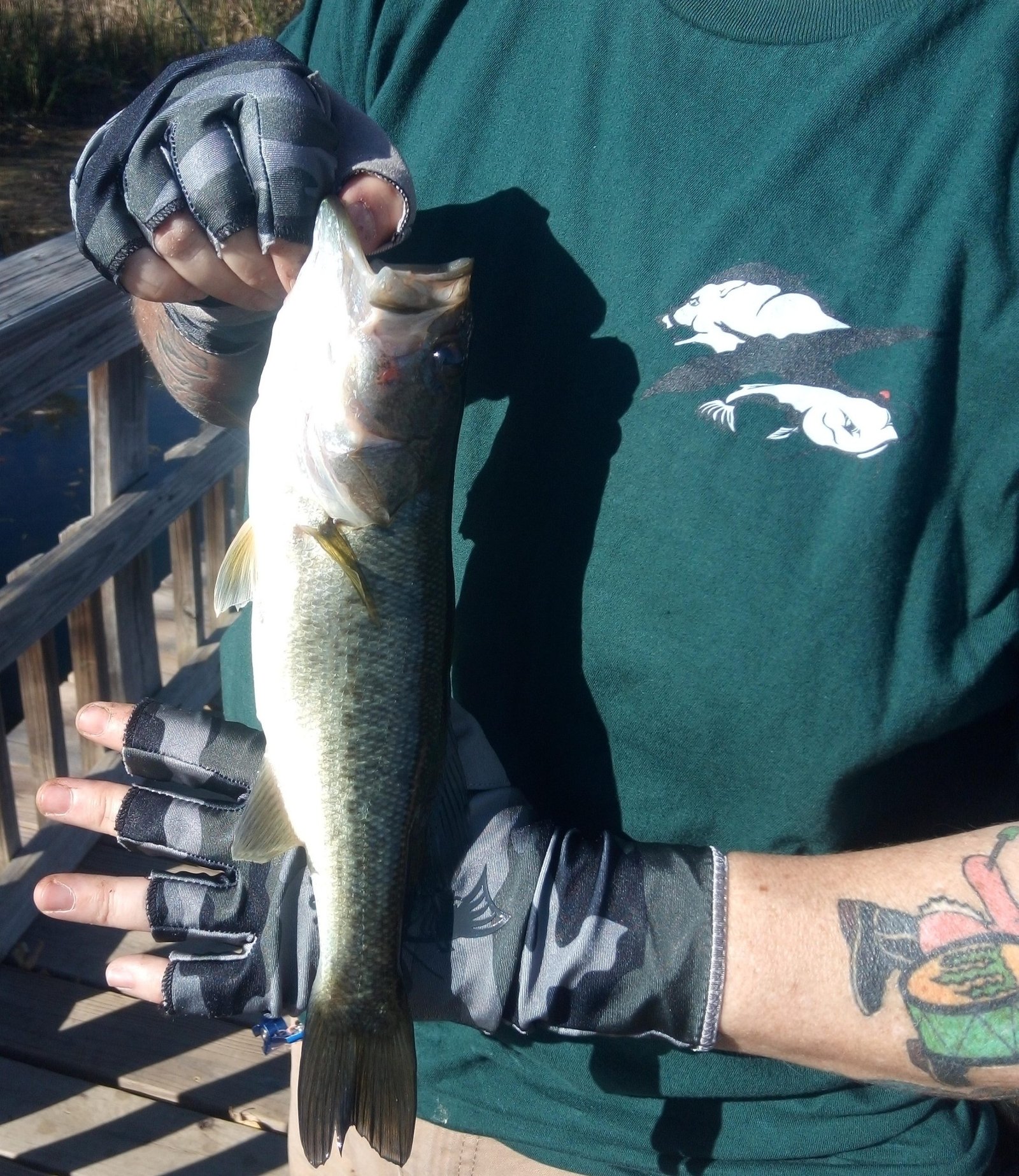 The Outdoors Quest Bass Fishing with LJ Ranch Outfitters