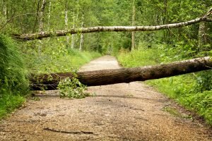 A disability does not have to be a roadblock. Instead, make it an opportunity.