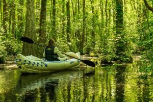 KayakTrail