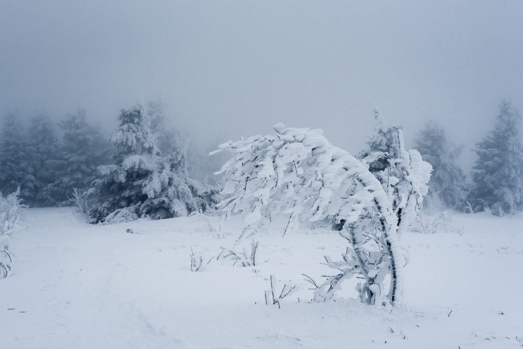 Snow can sometimes stop your plans for fishing