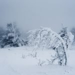 Snow can sometimes stop your plans for fishing