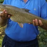 Holding head and stomach while supporting the fish's weight