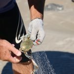 Puncture Resistant Fishing Glove