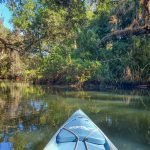 Fishing kayaks allow you to get into some of the most secluded areas