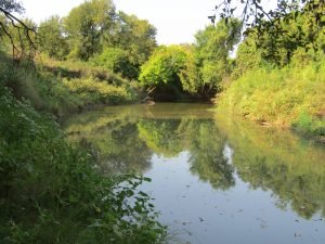 You never know what opportunities will be around the next bend when you're exploring new waterways.