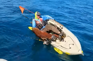maintaining your gear is the number one key to safe boating.