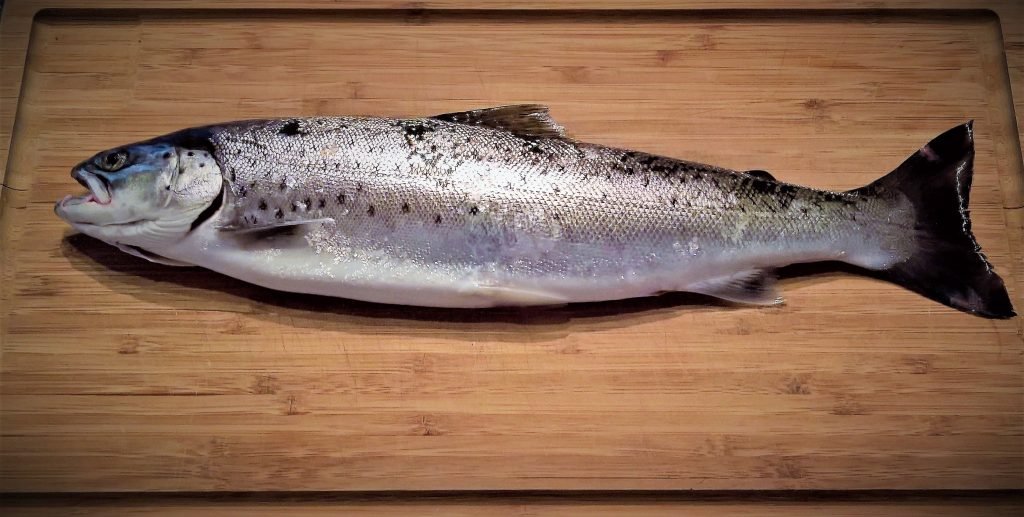 Large trout, especial sea trout, are going to be a significant strain on lighter weight fishing rods