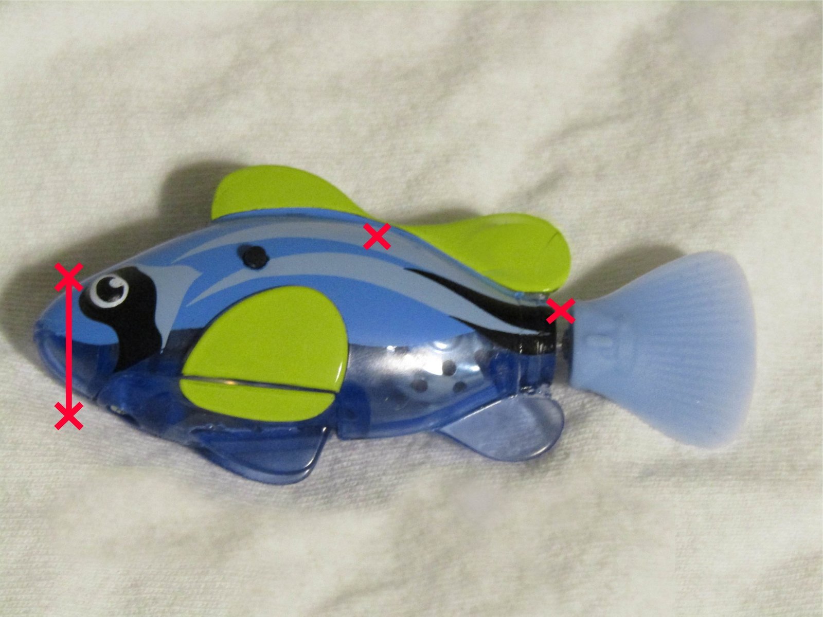 Live bait can be hooked in many ways when catfishing