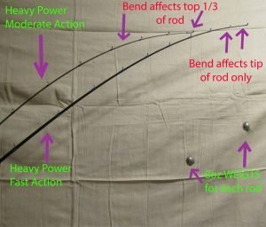 A visual comparison of rod action bending capabilities to exemplify what we're discussing.