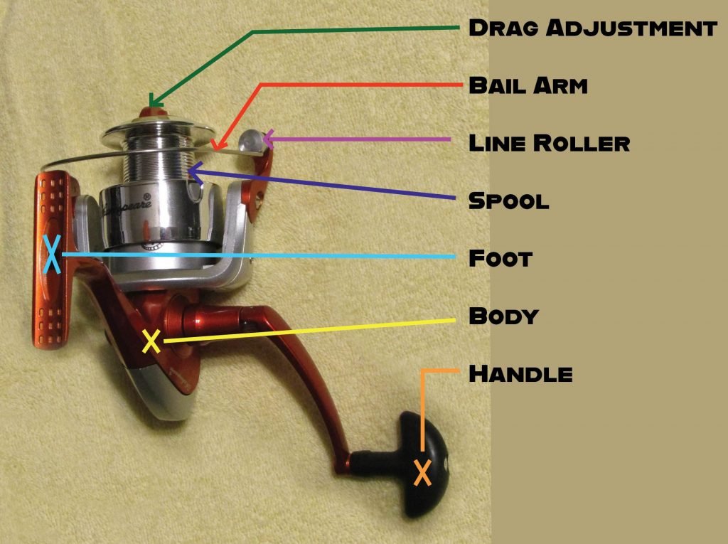 The components that you should know when preparing to spool a spinning reel