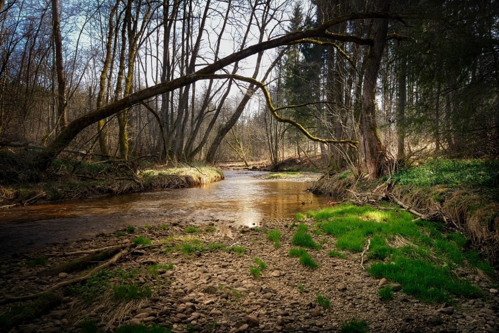 Overhanging tees can be the arch nemesis of your fishing rod.