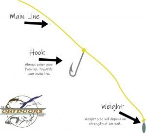 The drop shot is a good choice for cut bait, especially when there is low current.