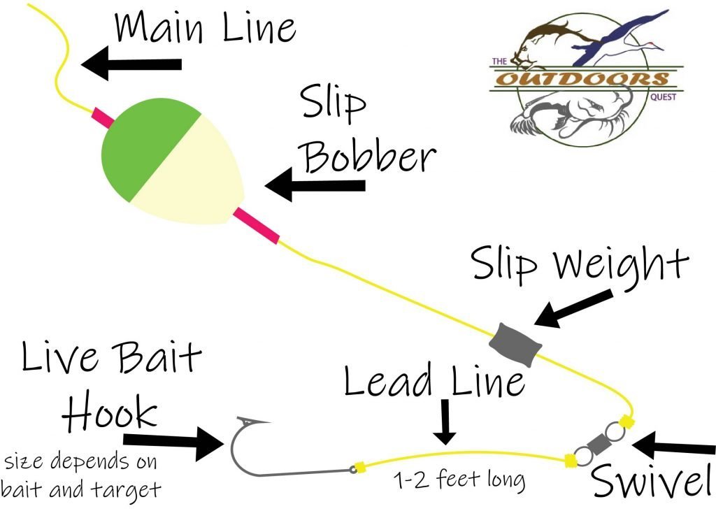 The Carolina Rig, or Fish Finder Rig, is an excellent method for fishing low water columns without leaving the bait sitting on the floor of the fishery.