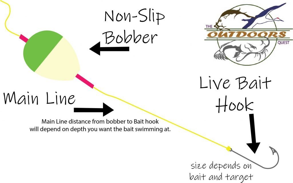Hook and bobber is the most versatile and most widely used method of live bait fishing.