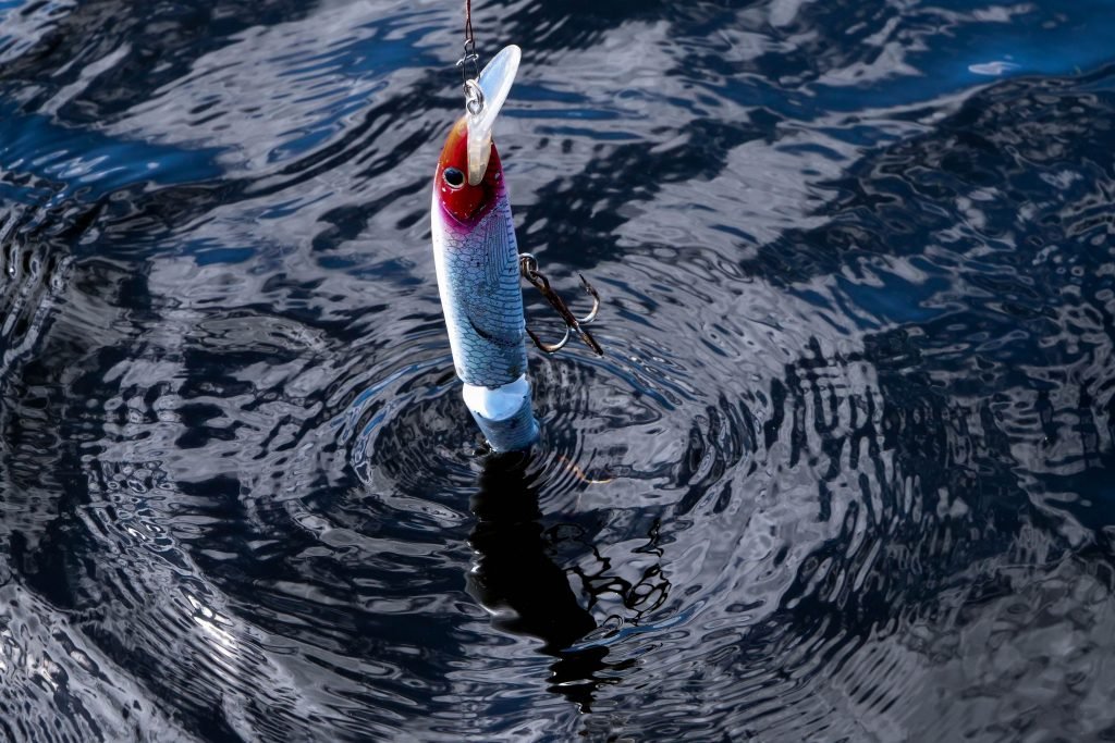 Hard baits come in a variety of sizes and shapes that are especially popular with bass fishermen.