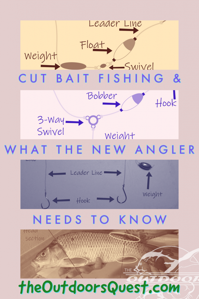 Cut bait can be the new angler's best friend. Learn the tips and tricks to get you started today!