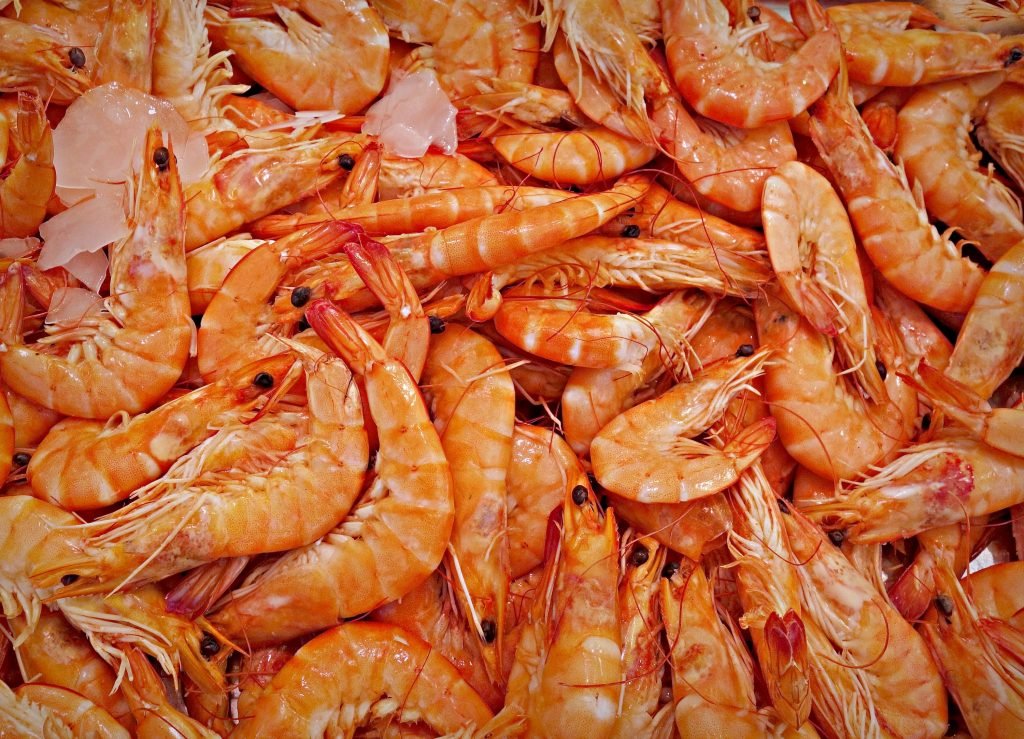 Prawns, shrimp, and other crustaceans are known for their ability to attract large bites.