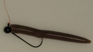 The shaky head rig works well for worms and similar plastic baits, but is more limiting than the Texas Rig