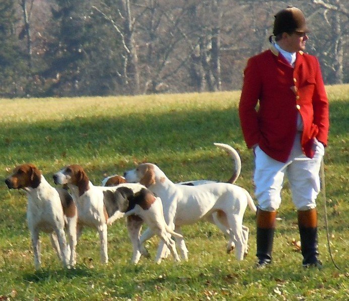 Hunting with dogs has been a common form of hunting throughout history.