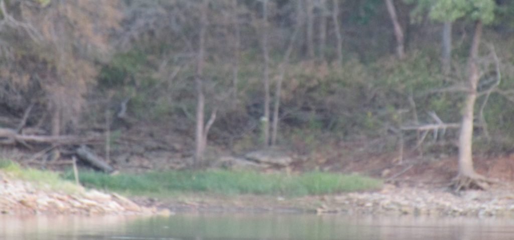 Kayaking can get you away from the common hunting crowds and help you find previously unchallenged public lands that most are not willing to explore.