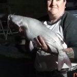 Kat's PB Blue Catfish.