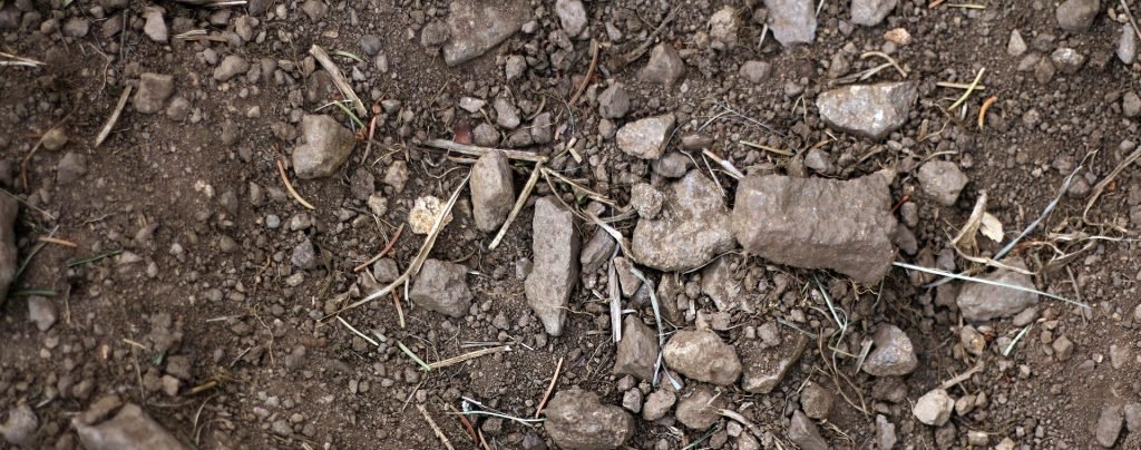 dirt, rocks, and twigs will roll and crack when stepped on incorrectly making massive noise