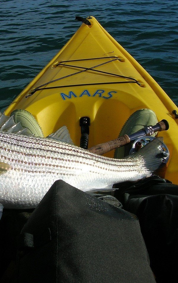 Kayak fishing has it's own set of rules, principles, and methods to learn.