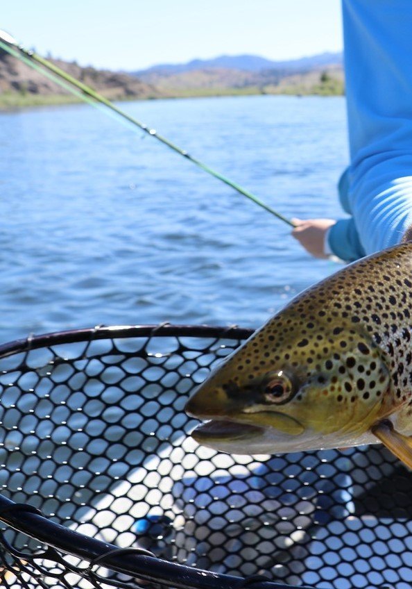 Bass Boat fishing is significantly different from Skiff or Kayak fishing.