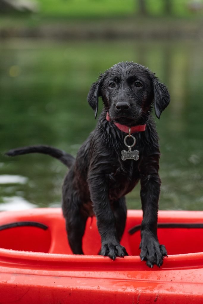 In many circumstances, a sit-in kayak is easier to fall out of
