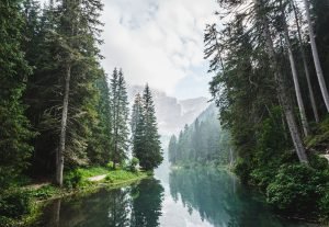 Long distances can be required when fishing in a creek or river. The debris and obstacles make selecting the best paddle more complicated.