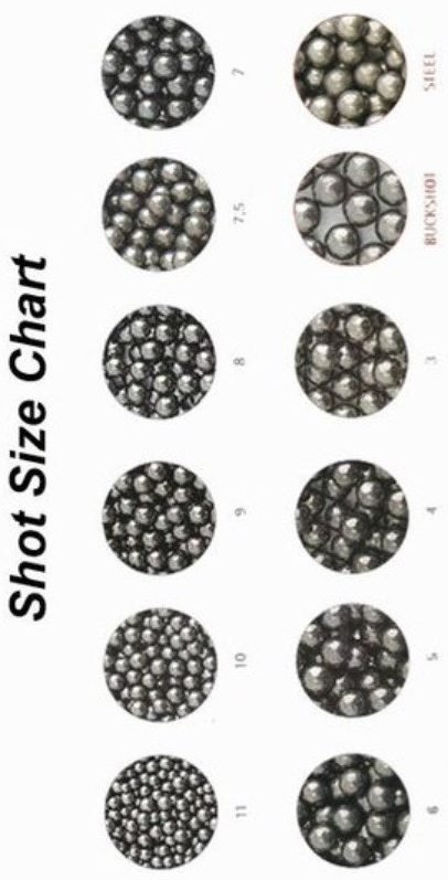 The pellets used in shotgun shells originally varied by specific weight requirements.