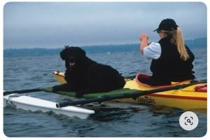 You can use a variety of techniques to create your home made pet platform when modifying your kayak.